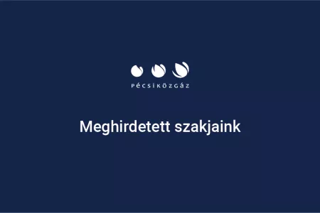 Meghirdetett szakjaink